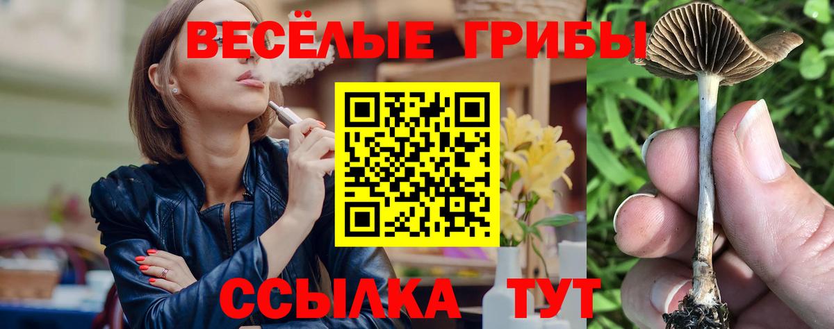 Галлюциногенные грибы MAGIC MUSHROOMS  Вход с VPN  Нижнеудинск 